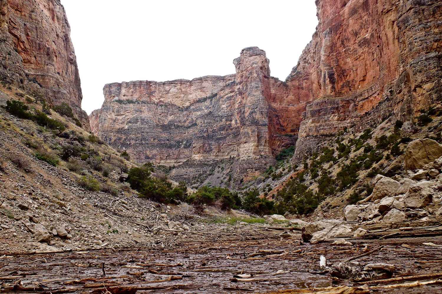 The rock walls of Devil Canyon above Bighorn Lake.